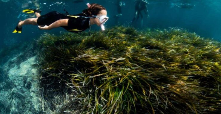 Palma De Mallorca: Cala Vella Snorkeling Adventure - Location Details