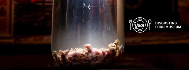 Palma de Mallorca: Disgusting Food Museum Entry Ticket - What to Expect at the Disgusting Food Museum