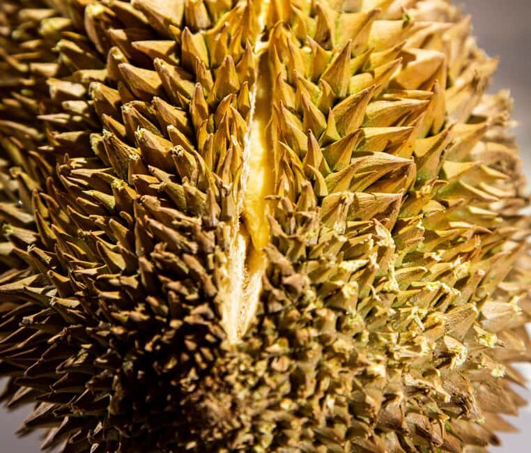 Palma de Mallorca: Disgusting Food Museum Entry Ticket - Breaking Down the Experience