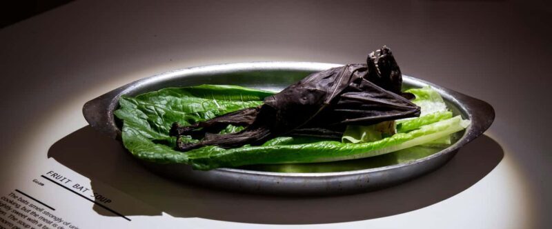 Palma de Mallorca: Disgusting Food Museum Entry Ticket - Is It Worth the Price?