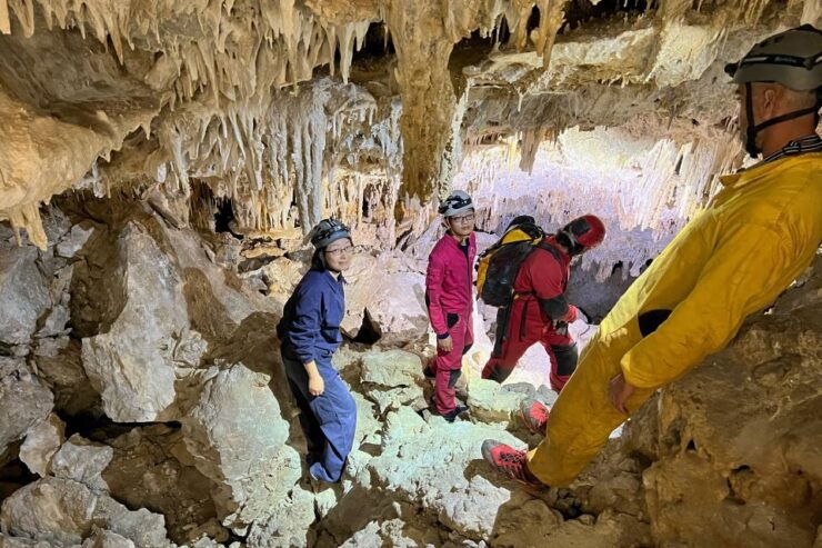 Palma De Mallorca: Es Marmols Cave Tour - Good To Know