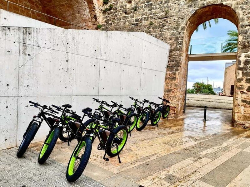 Palma de Mallorca: Exclusive Fat Tire e-Bike Rental - Introduction