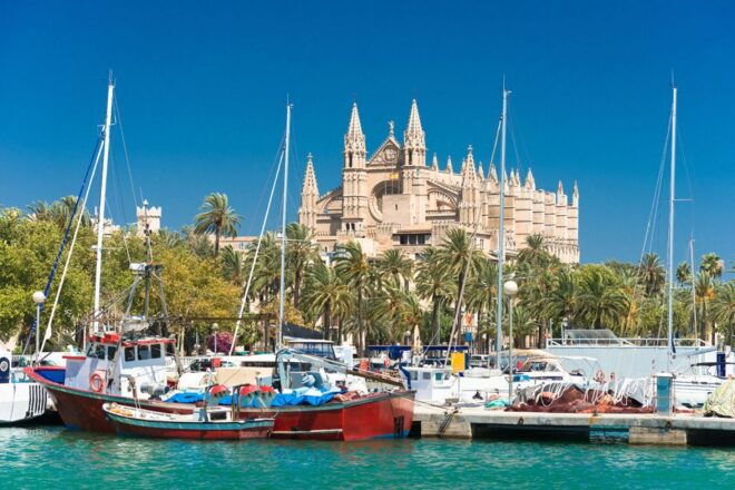 Palma De Mallorca: Free Time in Palma & Boat Tour - Inclusions and Important Information