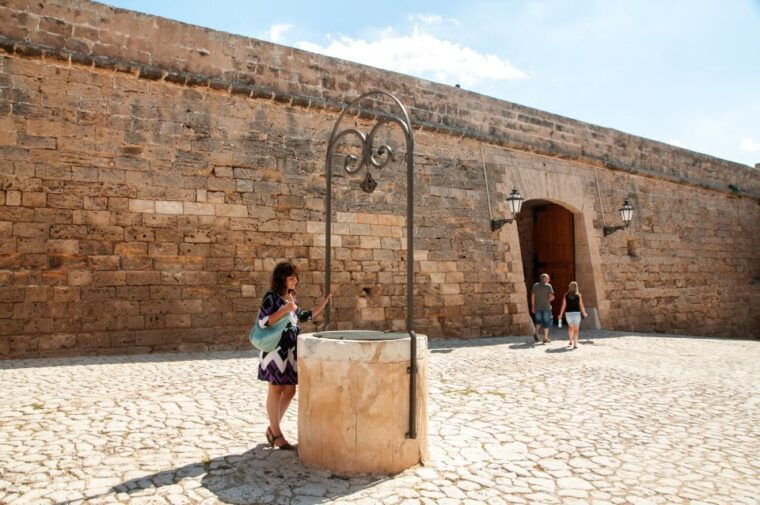 Palma De Mallorca: Full-Day Tour With Departure Options - Customer Feedback and Ratings