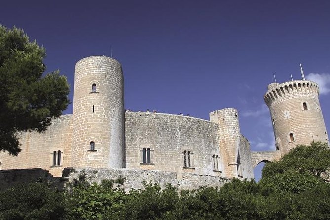 Palma De Mallorca Guided Tour With Hotel Pick up - The Sum Up