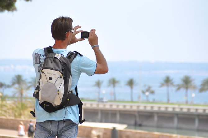 Palma De Mallorca Half Day Sightseeing Tour With Transfers - Questions and Help