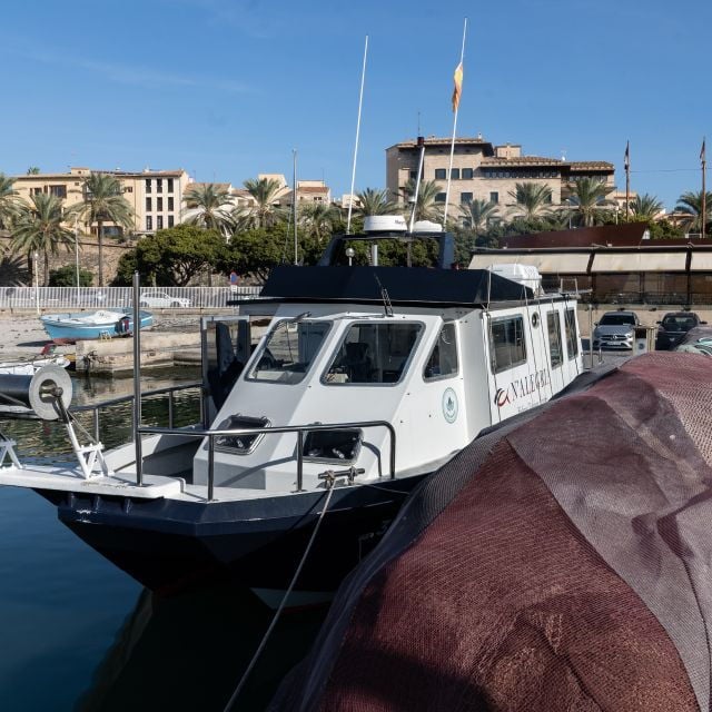 Palma De Mallorca: Local Fishing Activity - Accessibility and Cancellation Policy