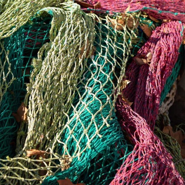 Palma De Mallorca: Local Fishing Activity - Frequently Asked Questions