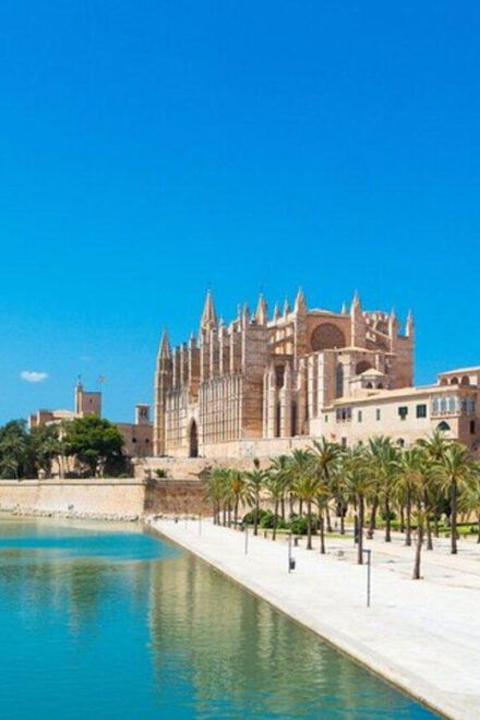 Palma De Mallorca : Must See Private Tour - Customer Feedback