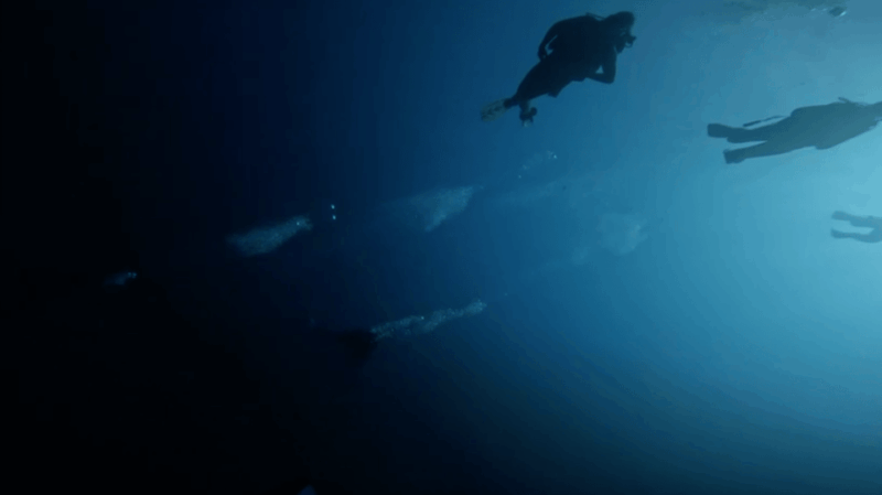 Palma De Mallorca: PADI Open Water Diver Course - Key Points