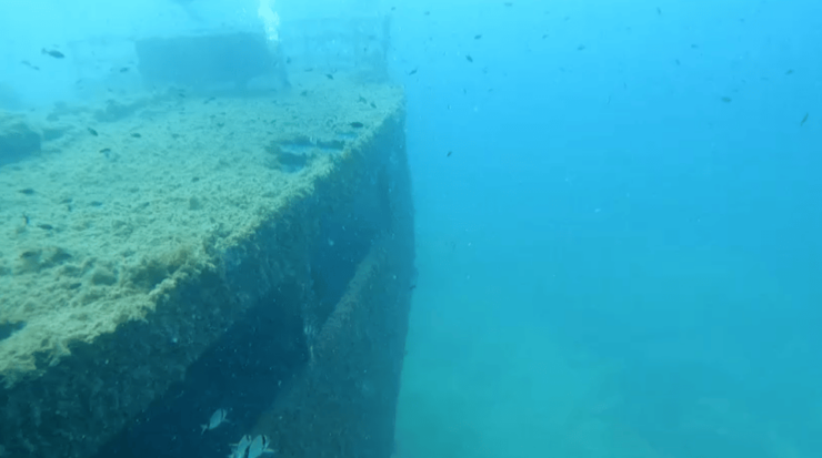 Palma De Mallorca: PADI Open Water Diver Course - Good To Know