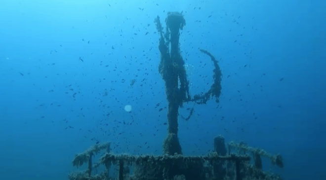 Palma De Mallorca: PADI Open Water Diver Course - Diving Experience
