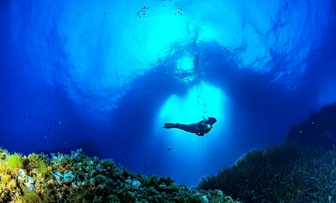 Palma De Mallorca: PADI Open Water Diver Course - Certification and Qualifications