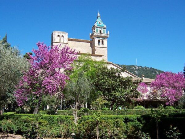 Palma De Mallorca: Palma and Valldemossa Free Time - Bus Departure Details