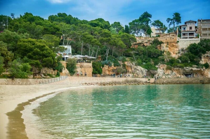 Palma de Mallorca: Private Drach Caves and East Coast Tour - The Sum Up