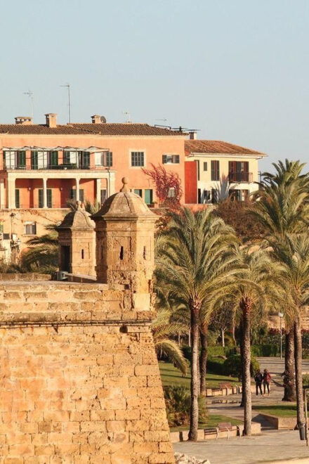 Palma De Mallorca Private Guided Walking Tour - Exploring Palmas Diverse History