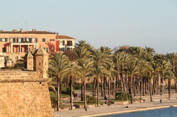 Palma De Mallorca Private Guided Walking Tour - Discovering Architectural Gems