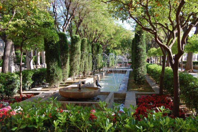 Palma De Mallorca: Private Walking Tour With a Local Guide - Testimonial