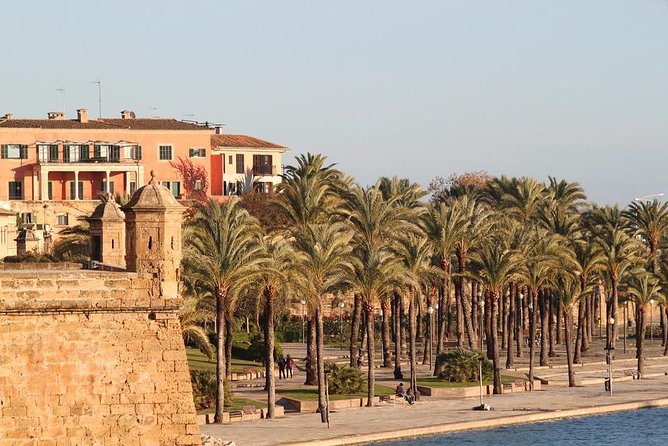 Palma De Mallorca Private Walking Tour With Tour Guide - Tour Highlights