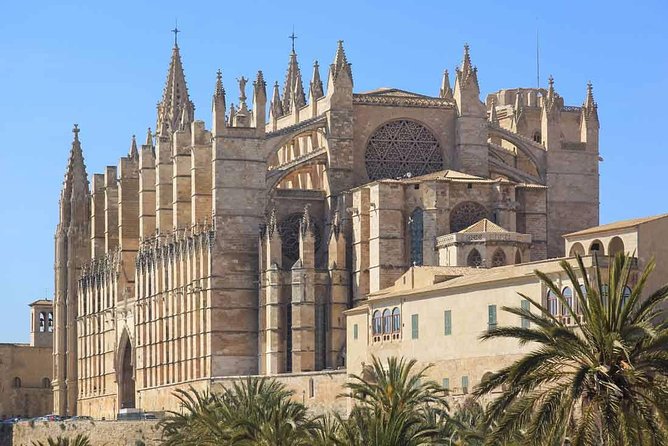Palma De Mallorca Private Walking Tour With Tour Guide - Tour Guide Qualifications