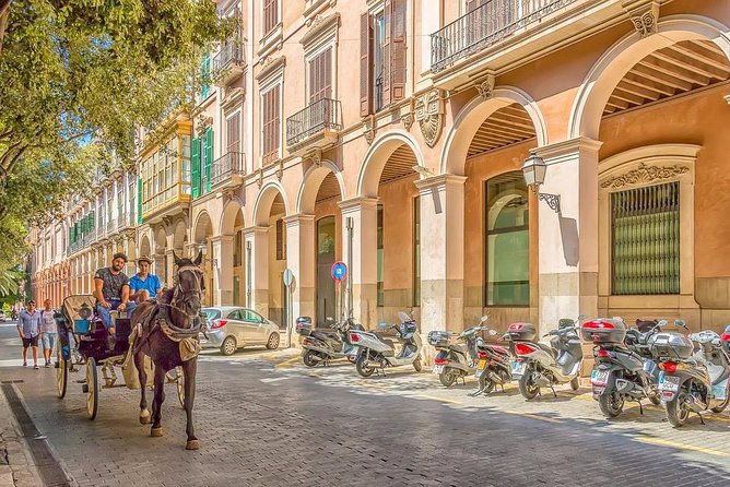 Palma De Mallorca Private Walking Tour With Tour Guide - Common Questions