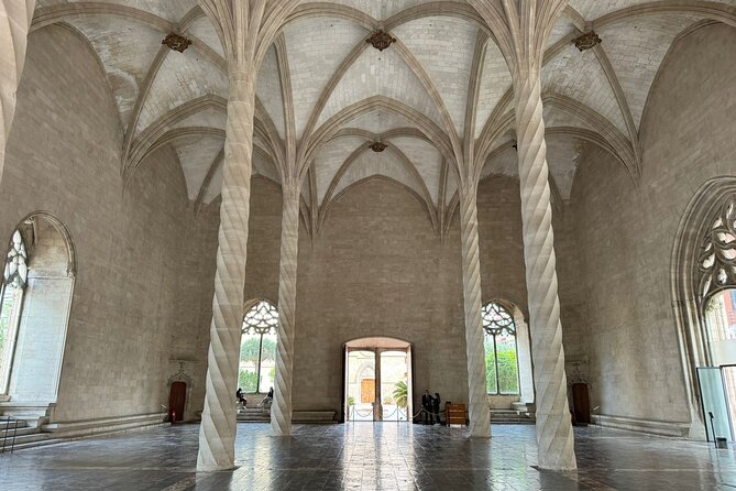 Palma De Mallorca Shore Excursion Bike Tour (Transfer Included) - Additional Information
