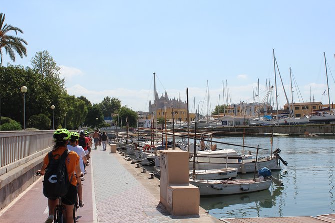 Palma De Mallorca Shore Excursion Bike Tour (Transfer Included) - Reviews
