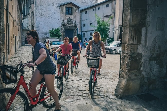Palma De Mallorca Shore Excursion: Bike Tour With Cathedral and Parc De La Mar - Overall Experience