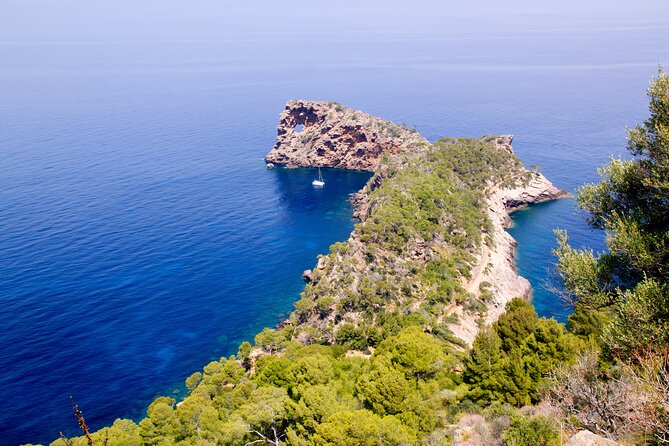 Palma De Mallorca Shore Excursion: Private Tour of Palma, Deia and Soller Valley - Visit Historical Sites: Royal Palace of Almudaina and Palma La Seu Cathedral