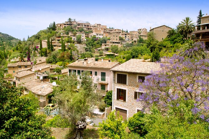 Palma De Mallorca Shore Excursion: Private Tour of Palma, Deia and Soller Valley - The Sum Up