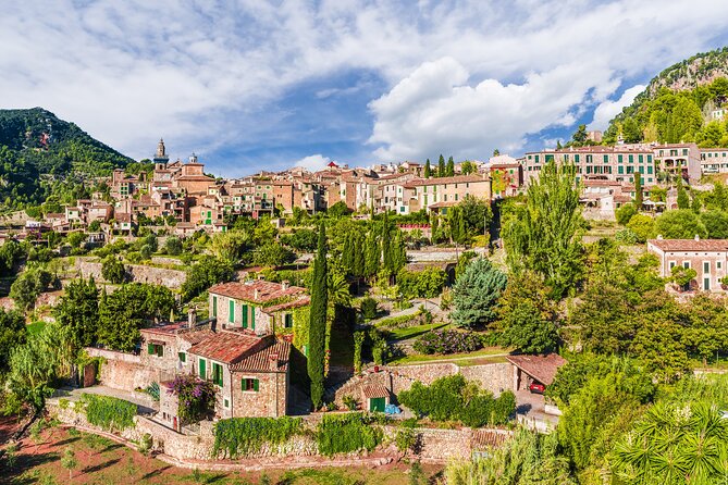 Palma De Mallorca Shore Excursion: Private Tour of Valldemossa, Soller and Serra De Tramuntana - Praise for Tour Operators, Guides, and Drivers