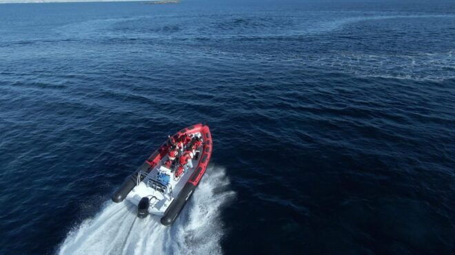 Palma De Mallorca: Sightseeing Speedboat Tour With Pickup - Customer Feedback and Ratings