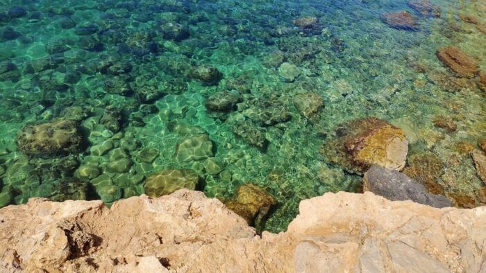 Palma De Mallorca: Smallgroup Tour by Locals in Hidden Coves - Customer Feedback