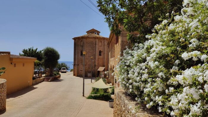 Palma De Mallorca: Smallgroup Tour by Locals in Hidden Coves - Taking in Local Culture and Adventure