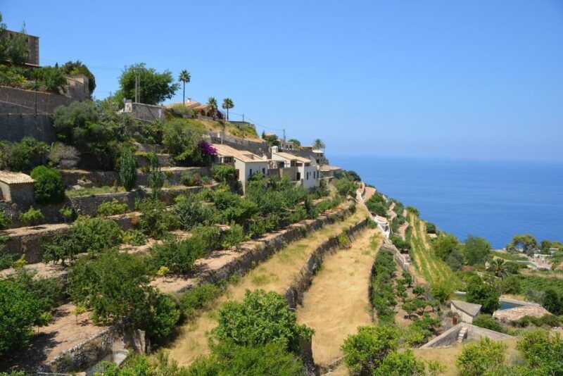 Palma De Mallorca: Son Juliana Wine Experience and Tasting - Good To Know