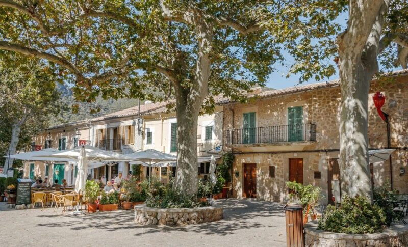 Palma De Mallorca: Son Juliana Wine Experience and Tasting - Booking and Flexibility