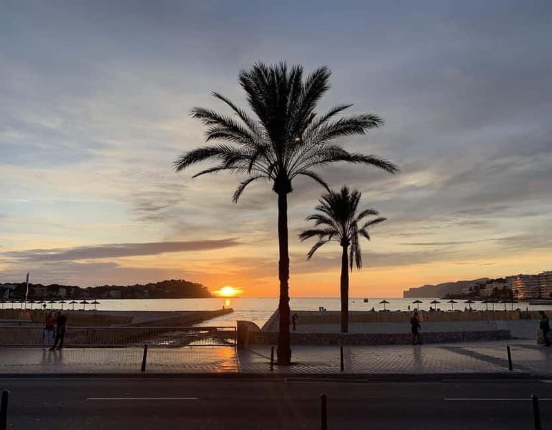 Palma: Electric Mountain Adventure: Ride Higher, Go Farther! - Good To Know