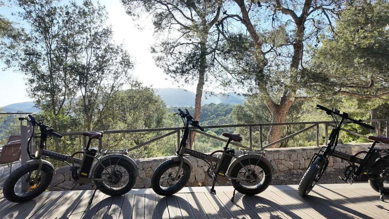 Palma: Electric Mountain Adventure: Ride Higher, Go Farther! - The Itinerary in Detail