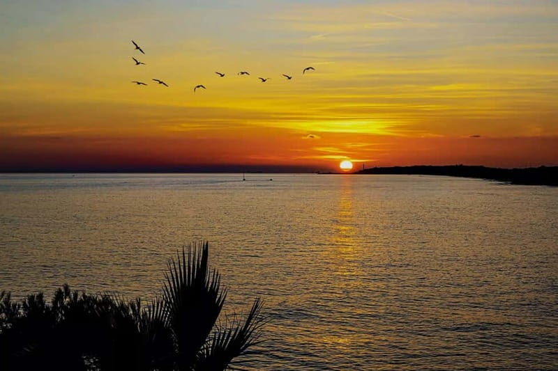 Palma: Electric Mountain Adventure: Ride Higher, Go Farther! - Perfect For...