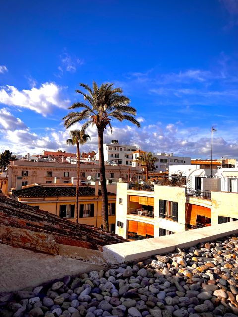 Palma Exclusive: Immerse Yourself in the Soul of the City - Tour Highlights