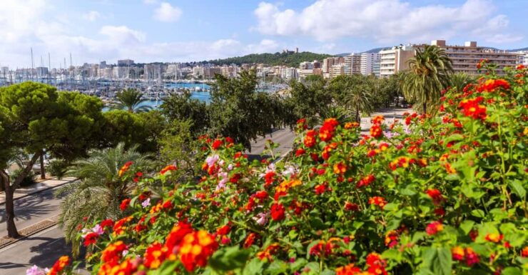 Palma: Express Walk With a Local in 60 Minutes - Good To Know