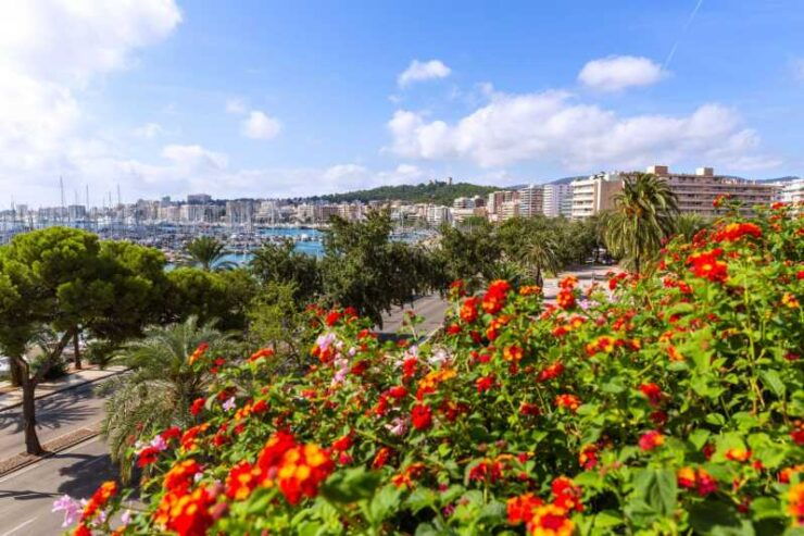 Palma: Express Walk With a Local in 60 Minutes - Pricing and Cancellation