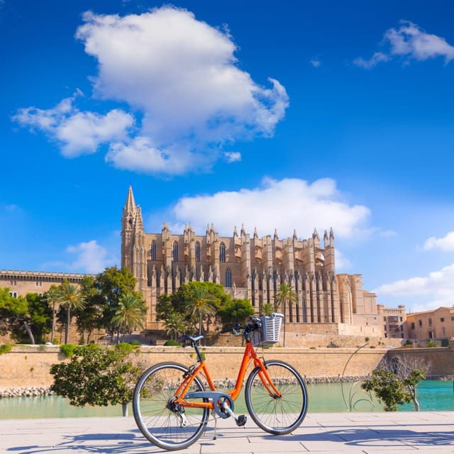 Palma: Express Walk With a Local in 60 Minutes - Highlights of the Tour