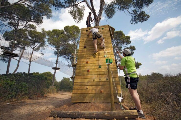 Palma: Family or Sports Course Adventure at Forestal Park - Adventure Activities and Highlights