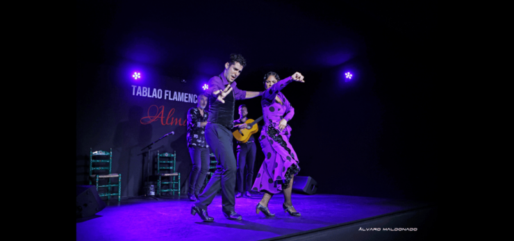 Palma: Flamenco Show at Tablao Flamenco Alma With Drink - Show Experience