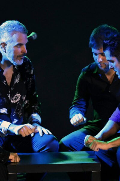 Palma: Flamenco Show at Tablao Flamenco Alma With Drink - Cultural Experience