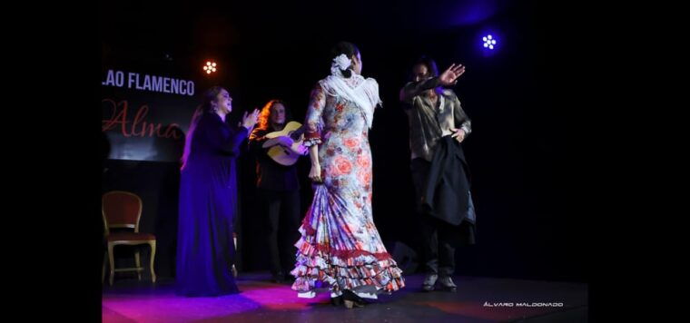Palma: Flamenco Show at Tablao Flamenco Alma With Drink - Food and Drink Options