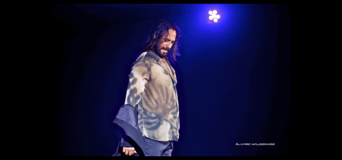 Palma: Flamenco Show at Tablao Flamenco Alma With Drink - Booking Your Visit
