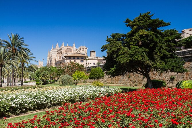 Palma Full Day Tour With Optional Activities - Tour Overview