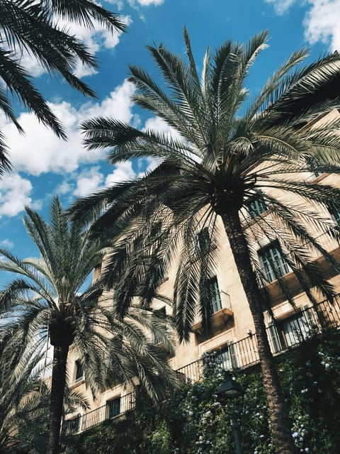Palma: History & Beauty Eco-Friendly E-Scooter Tour - Experience Highlights